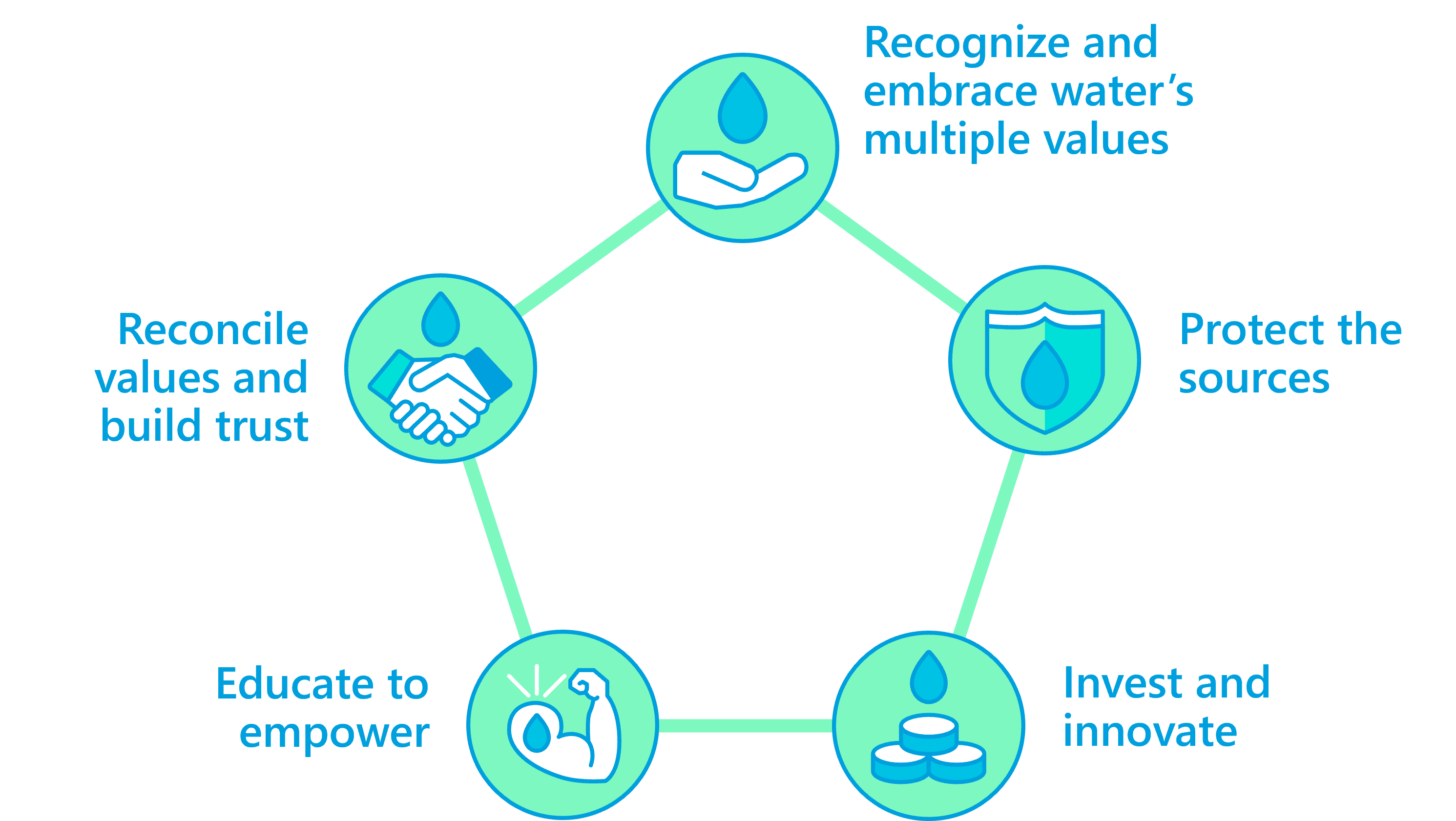 Valuing Water Principles