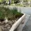 Raingarden
