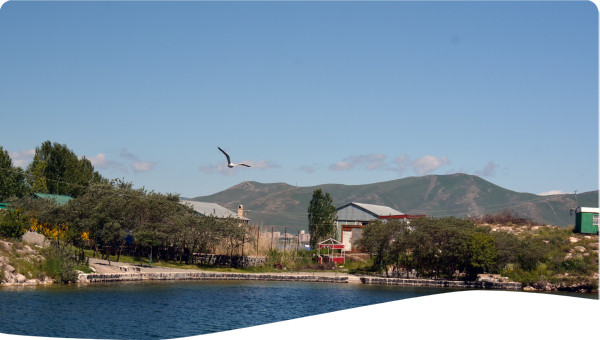Armenia: State Water Cadastre Information System