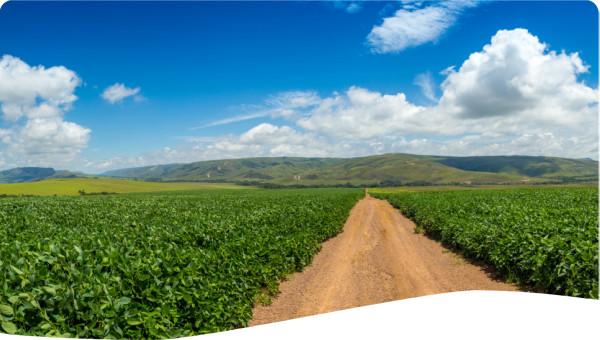 Brazil: Integrated environmental assessment of agricultural production systems in the Toledo River Basin