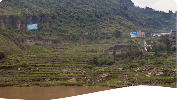 China: Progress in agricultural water management and reallocation - growing more with less