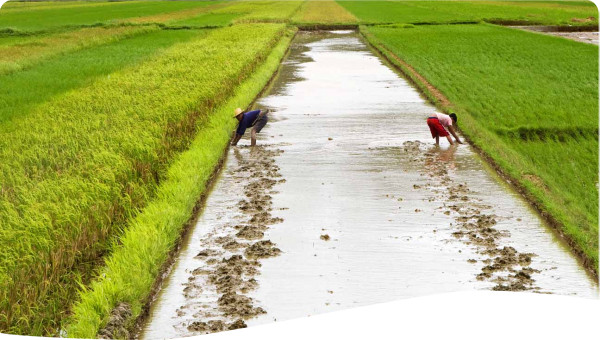 China: The Functional and Protective Mechanism of Gravity Irrigation System in Ziquejie Terrace