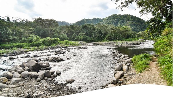 Costa Rica: Adaptation and vulnerability reduction to climate change in the water sector - Upper Basin of the Reventazon River