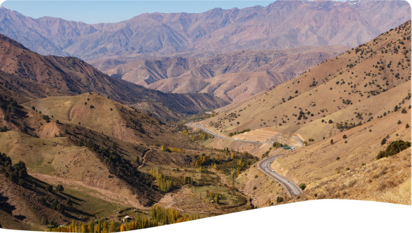 Transboundary: Rural livelihoods and irrigation management transfer in Fergana valley