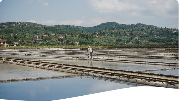 D1 Building a Water Investment Rationale