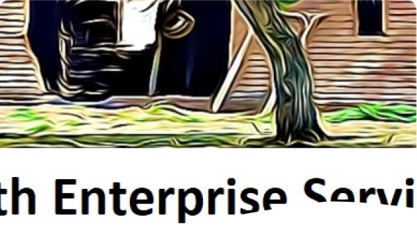 Youth Enterprise Services logo