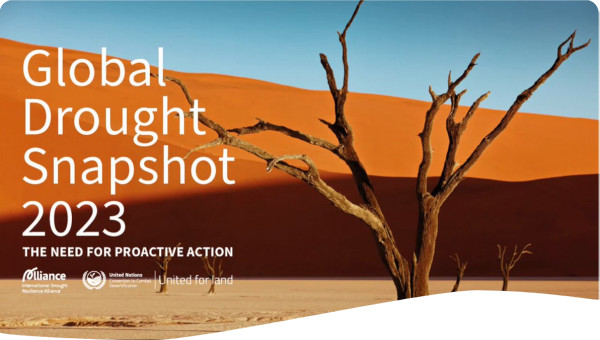 UNCCD launches ‘Global Drought Snapshot’ report at COP28