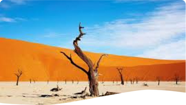 Kalahari Desert - Namibia