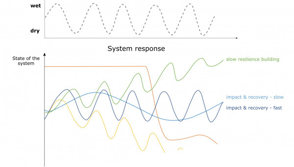 Typology of drought continuums: A system can either be fluctuating but stable, it can have a positive trajectory building resilience with every drought event, a negative trajectory with a lack of recovery after drought, or a tipping point response due to a lack of preparedness.