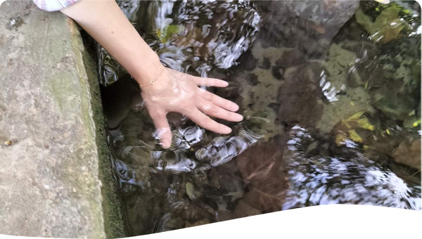 Water
