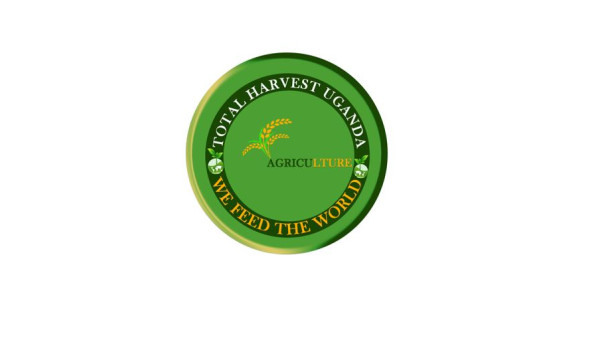 Harvesting hope, sustaining Tomorrow