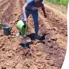 This image shows how water scarcity has been because of climate change and thus students doing research opt to use irrigation 